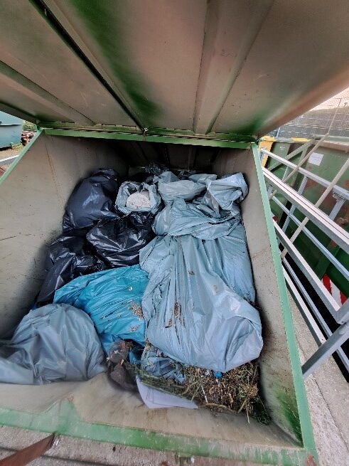 Müll im Container