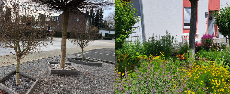 Schottergarten links, Blühgarten rechts